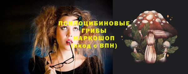дурь Алексин