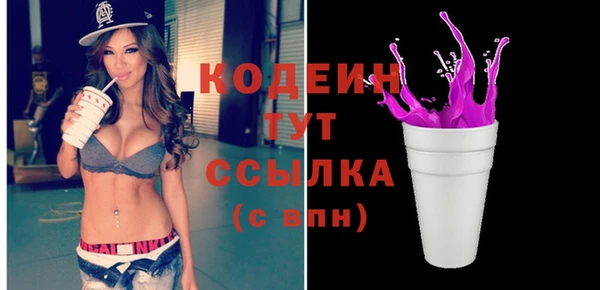 дурь Алексин