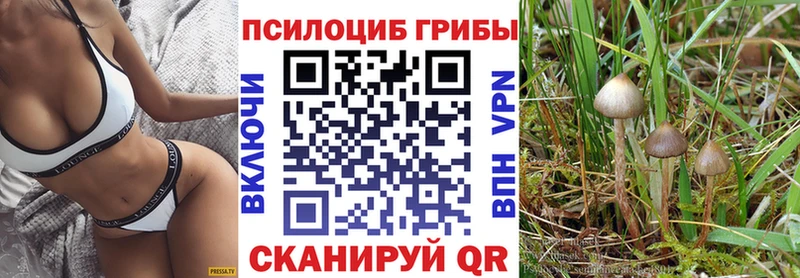 цены   blacksprut зеркало  Псилоцибиновые грибы Psilocybine cubensis  Бабаево 